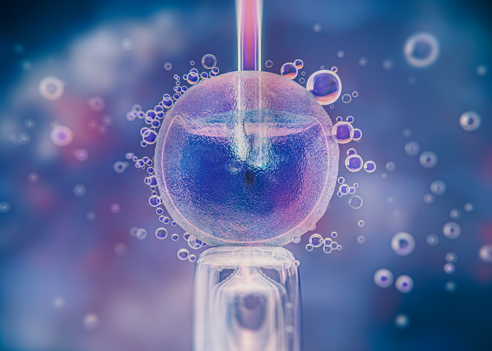 IVF Center