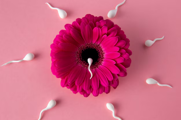 IUI Treatment